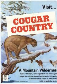 COUGAR COUNTRY   Original American One Sheet   (American National, 1972)