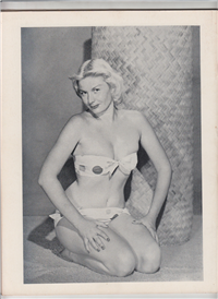 ARTISTS' MODELS ANNUAL  #9    (Gale Publications, 1950s) 