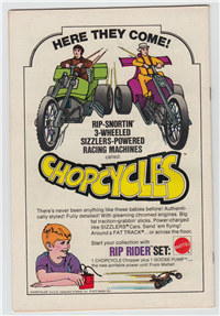 AMAZING SPIDER-MAN  #116     (Marvel, 1973)