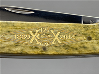 2014 Case 62131 SS Olive Green 125 Years 1889-2014 Canoe