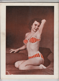 ARTISTS' MODELS ANNUAL  #8    (Gale Publications, 1950s) 