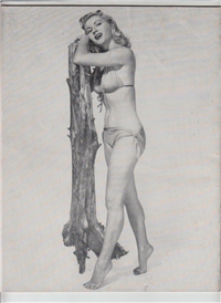 FIGURE   #7    (Camerarts Publishing, Autumn, 1955) 